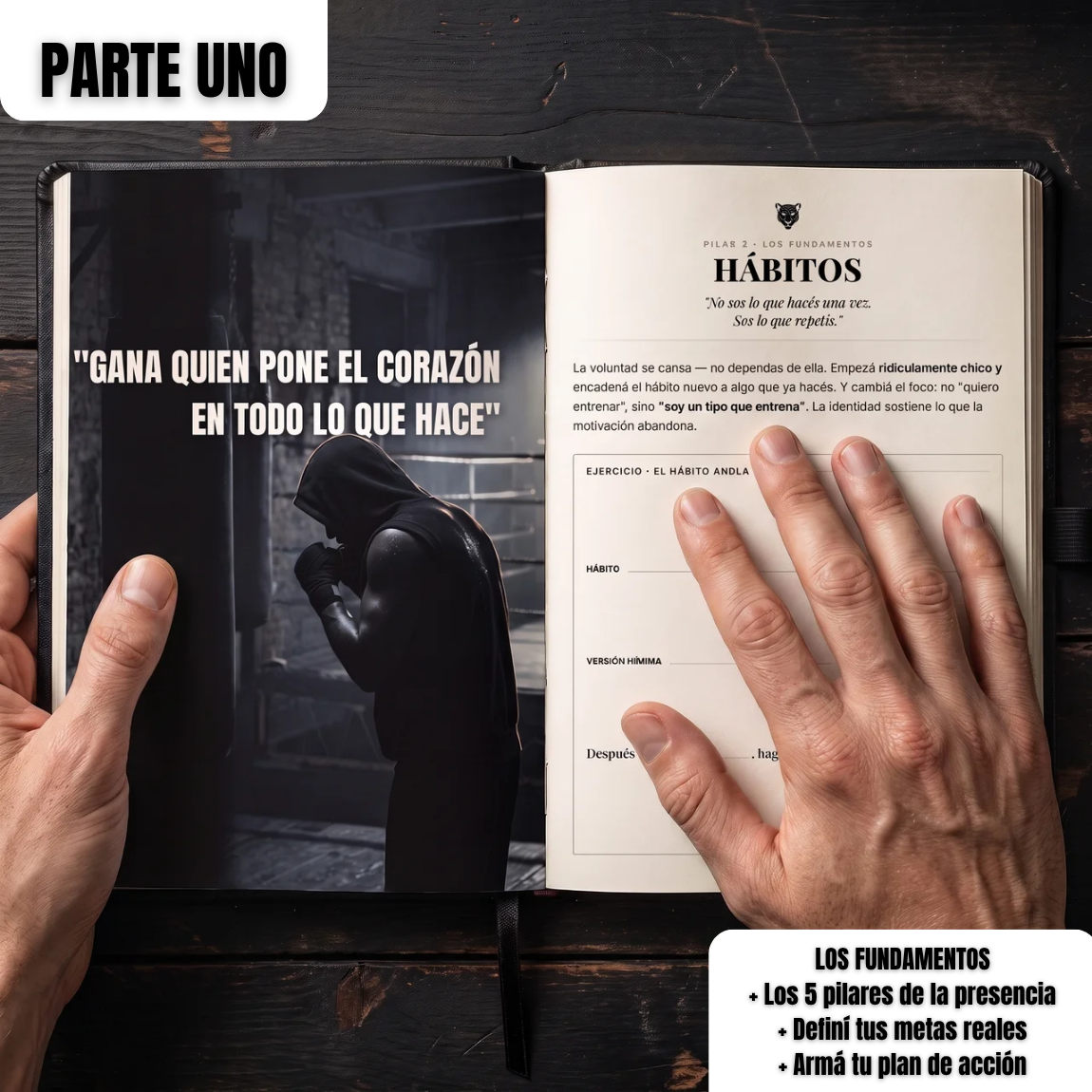 AURA DE PANTERA · Libro método de 90 días.