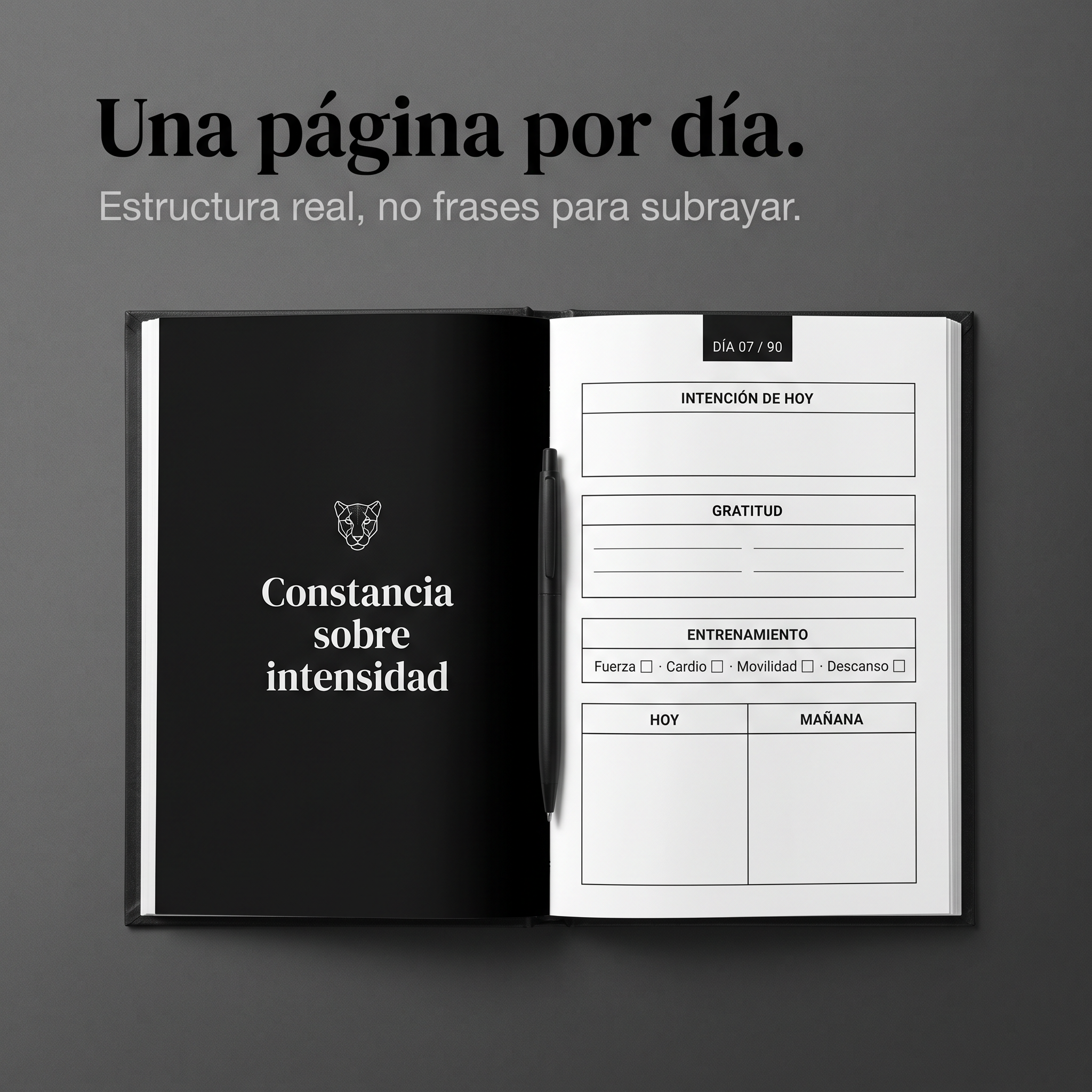 AURA DE PANTERA · Libro método de 90 días.